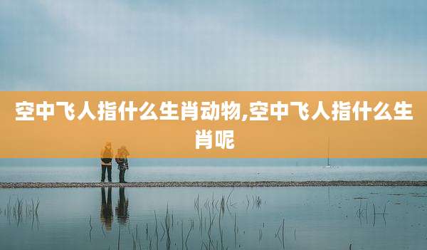 空中飞人指什么生肖动物,空中飞人指什么生肖呢