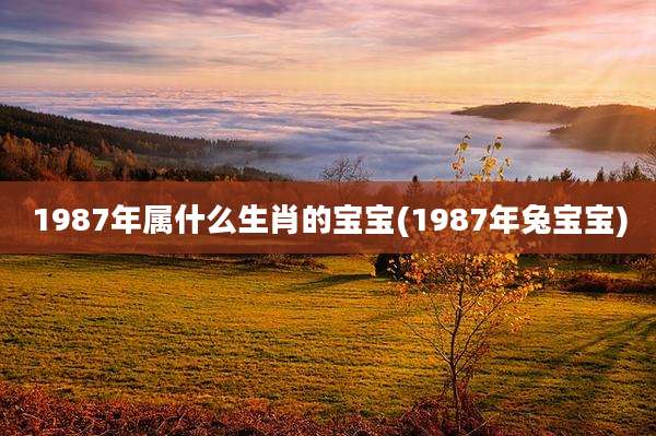 1987年属什么生肖的宝宝(1987年兔宝宝)