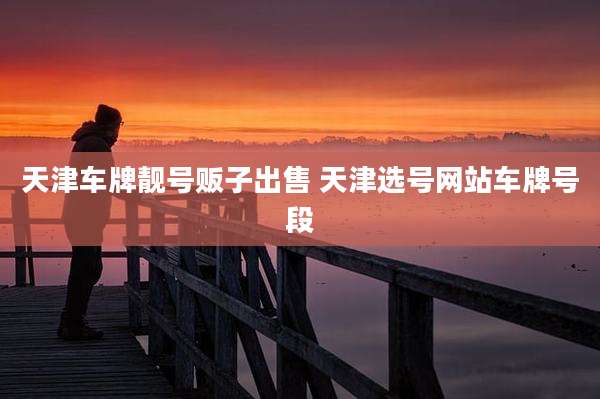 天津车牌靓号贩子出售 天津选号网站车牌号段