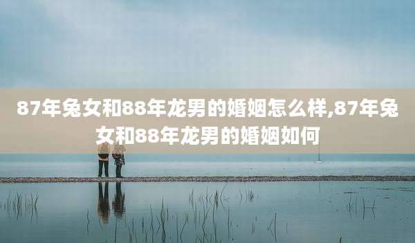 87年兔女和88年龙男的婚姻怎么样,87年兔女和88年龙男的婚姻如何