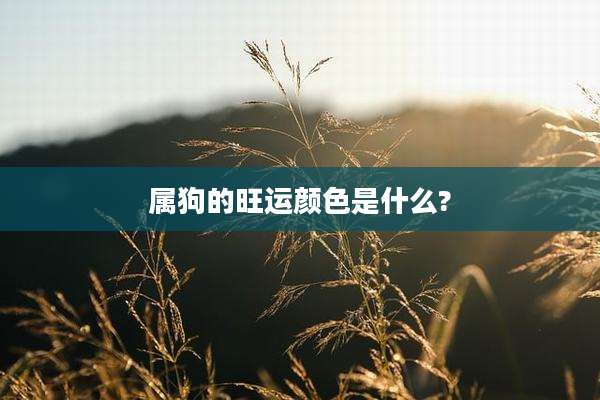 属狗的旺运颜色是什么?