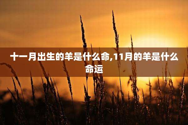 十一月出生的羊是什么命,11月的羊是什么命运