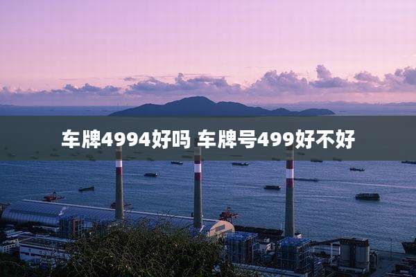 车牌4994好吗 车牌号499好不好