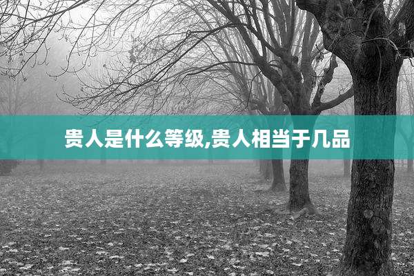 贵人是什么等级,贵人相当于几品