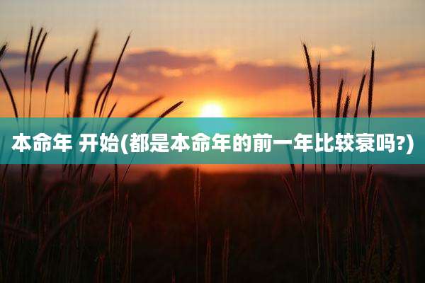 本命年 开始(都是本命年的前一年比较衰吗?)