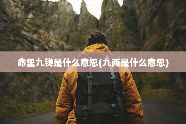 命里九钱是什么意思(九两是什么意思)