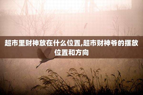 超市里财神放在什么位置,超市财神爷的摆放位置和方向