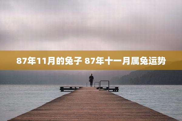 87年11月的兔子 87年十一月属兔运势