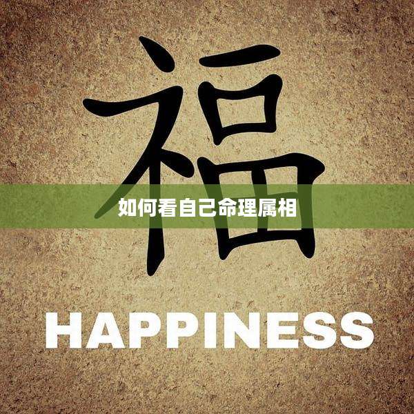如何看自己命理属相