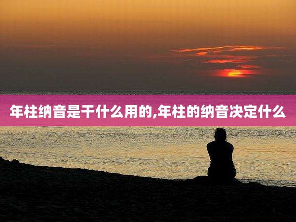 年柱纳音是干什么用的,年柱的纳音决定什么