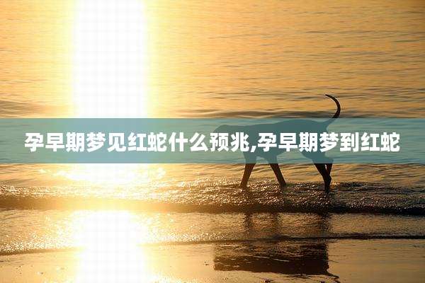 孕早期梦见红蛇什么预兆,孕早期梦到红蛇
