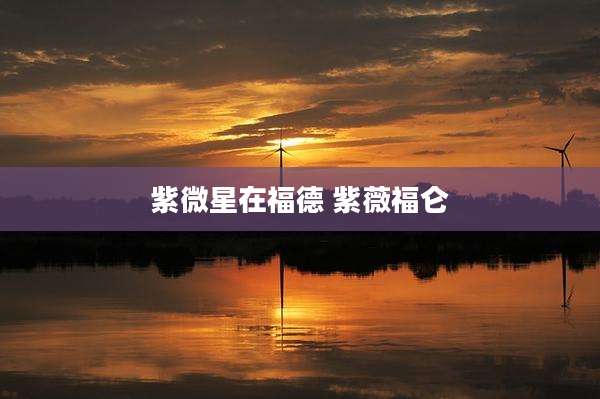 紫微星在福德 紫薇福仑