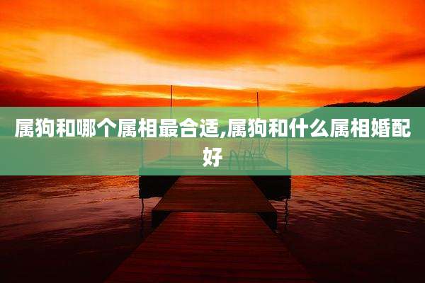 属狗和哪个属相最合适,属狗和什么属相婚配好