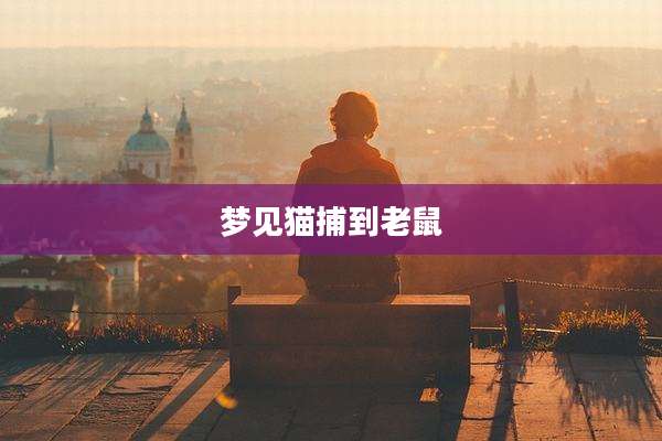 梦见猫捕到老鼠