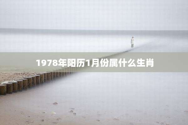 1978年阳历1月份属什么生肖