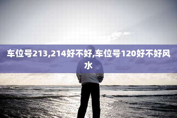 车位号213,214好不好,车位号120好不好风水