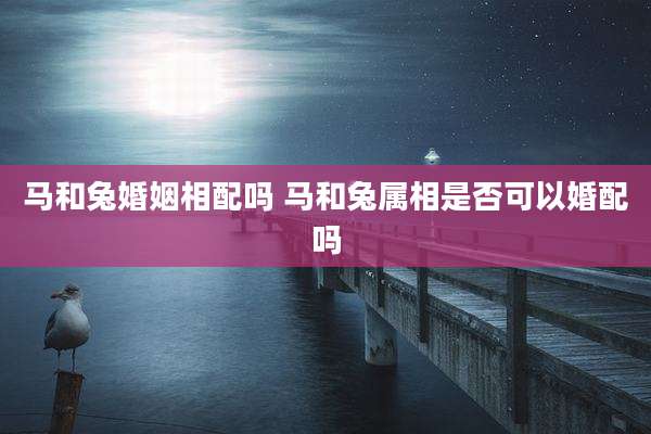 马和兔婚姻相配吗 马和兔属相是否可以婚配吗