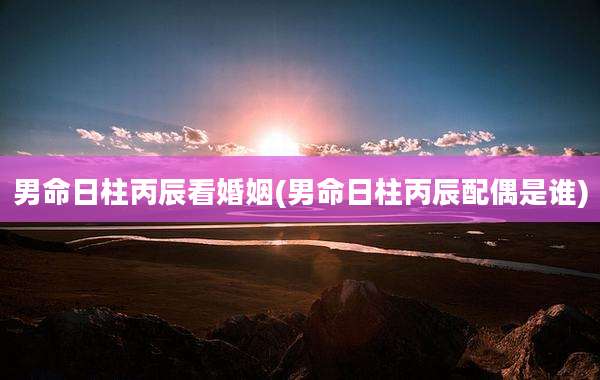 男命日柱丙辰看婚姻(男命日柱丙辰配偶是谁)