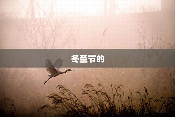 冬至节的