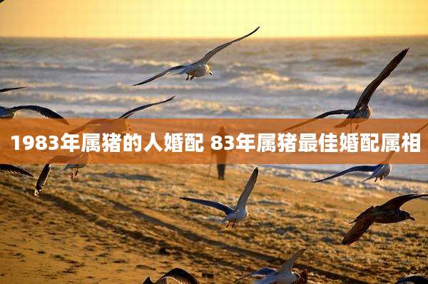 1983年属猪的人婚配 83年属猪最佳婚配属相