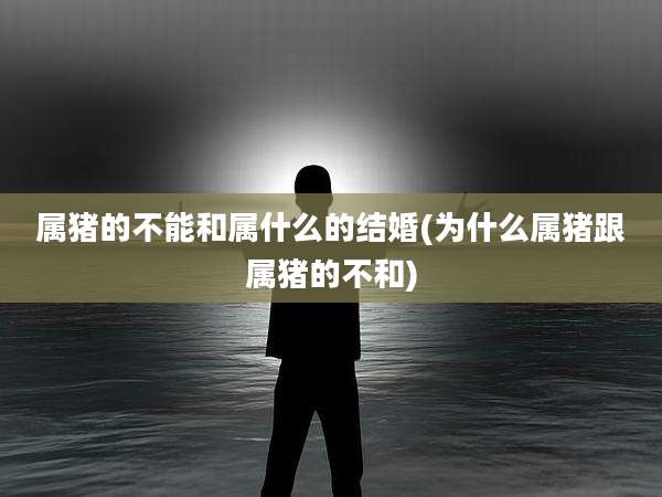 属猪的不能和属什么的结婚(为什么属猪跟属猪的不和)