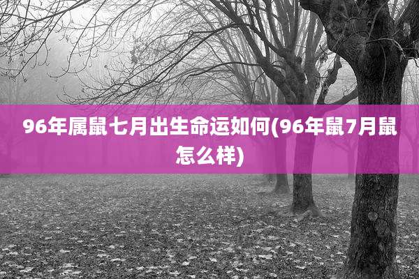 96年属鼠七月出生命运如何(96年鼠7月鼠怎么样)