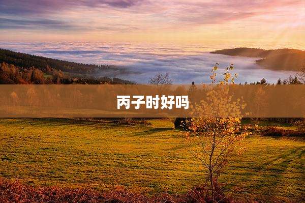 丙子时好吗