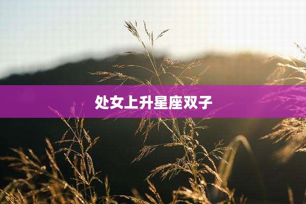 处女上升星座双子