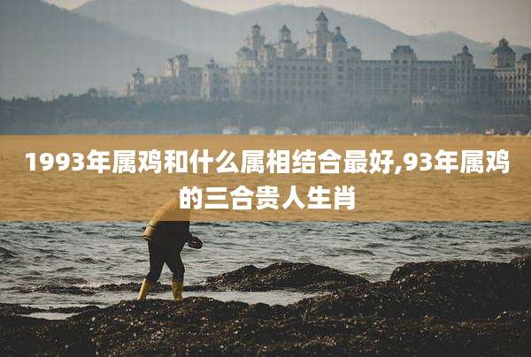 1993年属鸡和什么属相结合最好,93年属鸡的三合贵人生肖