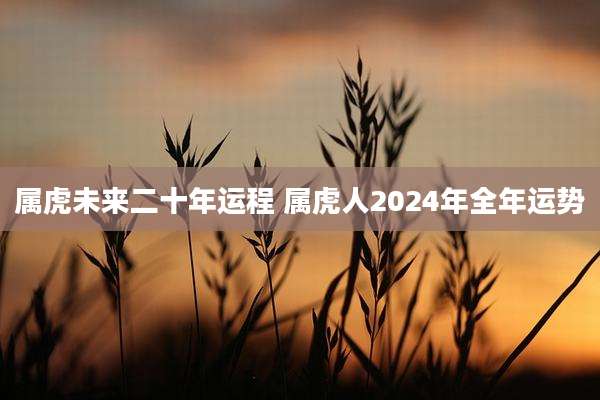 属虎未来二十年运程 属虎人2024年全年运势