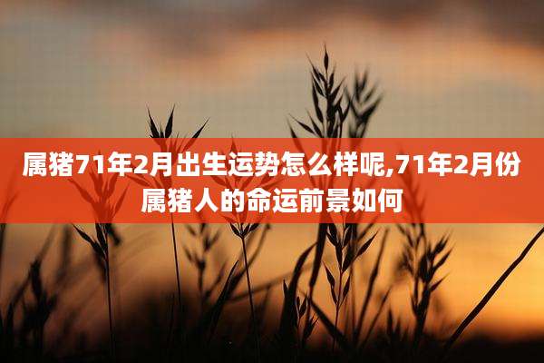 属猪71年2月出生运势怎么样呢,71年2月份属猪人的命运前景如何