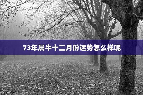 73年属牛十二月份运势怎么样呢