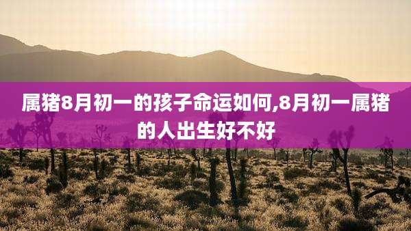 属猪8月初一的孩子命运如何,8月初一属猪的人出生好不好