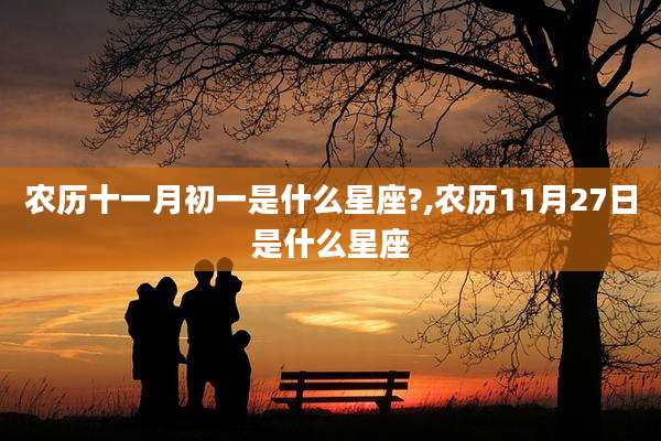 农历十一月初一是什么星座?,农历11月27日是什么星座