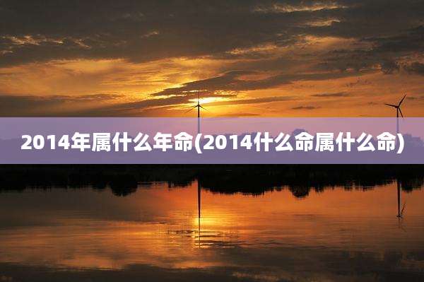 2014年属什么年命(2014什么命属什么命)