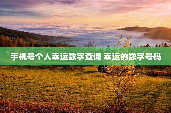 手机号个人幸运数字查询 幸运的数字号码