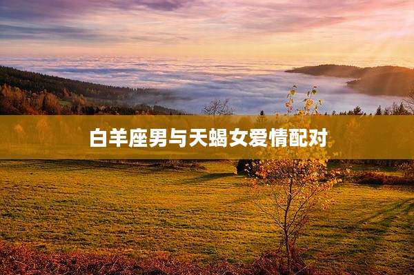 白羊座男与天蝎女爱情配对