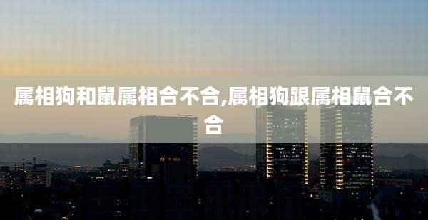 属相狗和鼠属相合不合,属相狗跟属相鼠合不合
