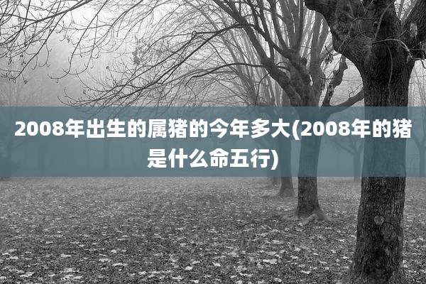 2008年出生的属猪的今年多大(2008年的猪是什么命五行)