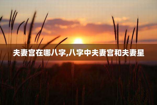 夫妻宫在哪八字,八字中夫妻宫和夫妻星