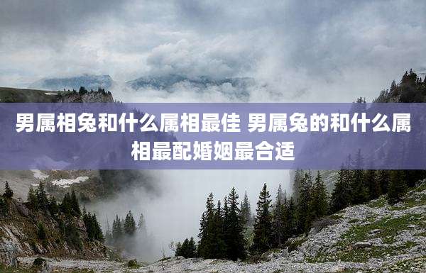 男属相兔和什么属相最佳 男属兔的和什么属相最配婚姻最合适