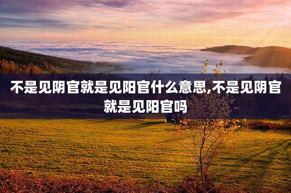 不是见阴官就是见阳官什么意思,不是见阴官就是见阳官吗
