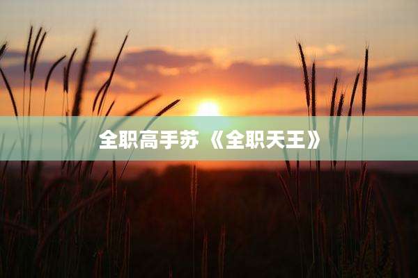 全职高手苏 《全职天王》