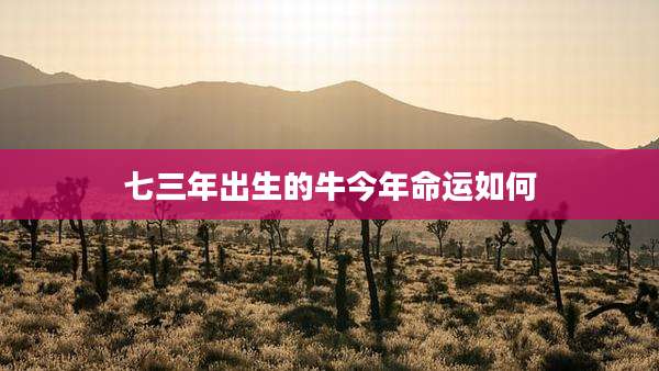 七三年出生的牛今年命运如何