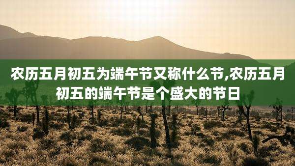 农历五月初五为端午节又称什么节,农历五月初五的端午节是个盛大的节日