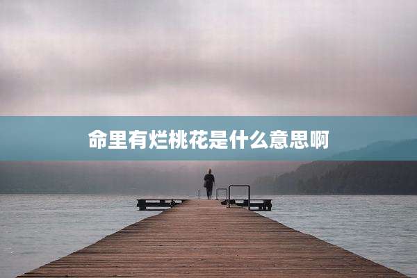 命里有烂桃花是什么意思啊