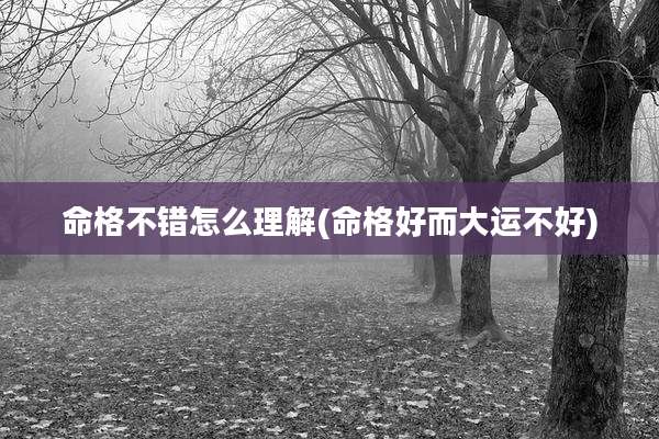 命格不错怎么理解(命格好而大运不好)