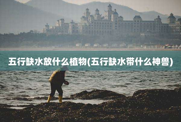 五行缺水放什么植物(五行缺水带什么神兽)