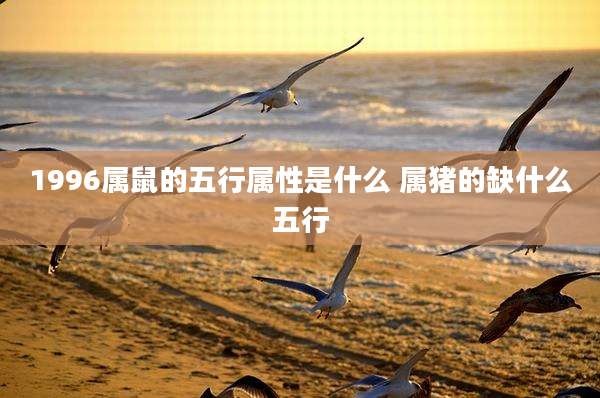 1996属鼠的五行属性是什么 属猪的缺什么五行