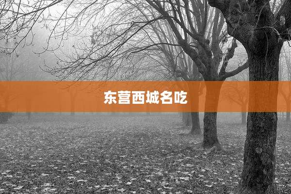 东营西城名吃